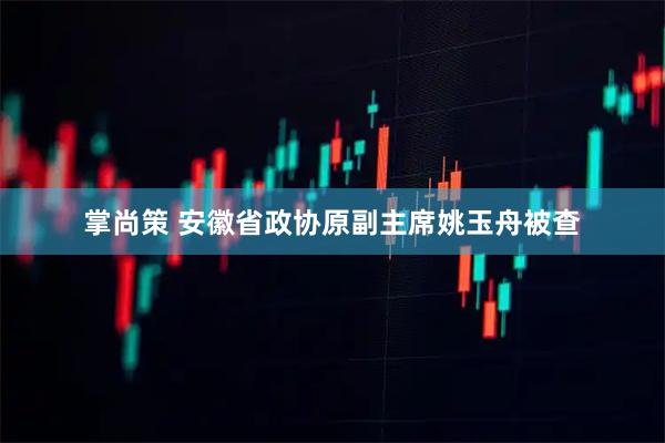 掌尚策 安徽省政协原副主席姚玉舟被查