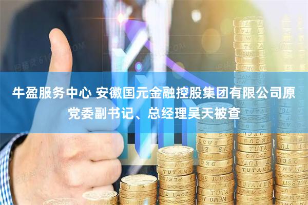 牛盈服务中心 安徽国元金融控股集团有限公司原党委副书记、总经理吴天被查