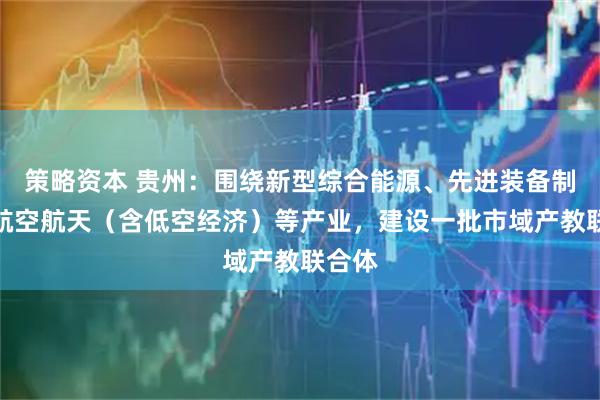 策略资本 贵州：围绕新型综合能源、先进装备制造、航空航天（含低空经济）等产业，建设一批市域产教联合体
