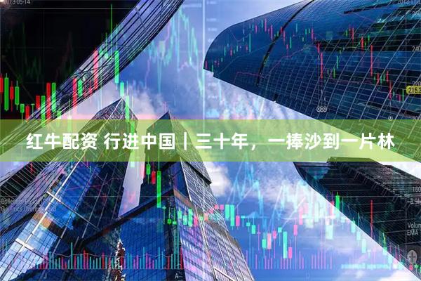 红牛配资 行进中国｜三十年，一捧沙到一片林